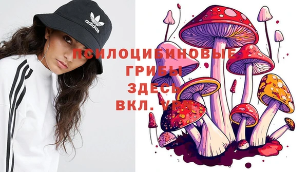 прущая мука Нязепетровск