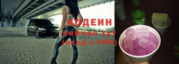 ECSTASY Няндома